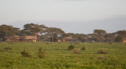 Lake Manyara and Southern Serengeti