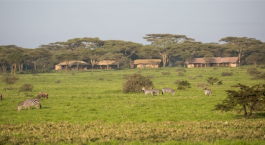 Lake Manyara and Southern Serengeti
