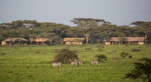 Lake Manyara and Southern Serengeti