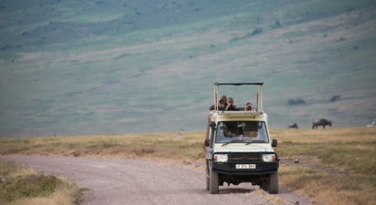 Tanzania and Kenya