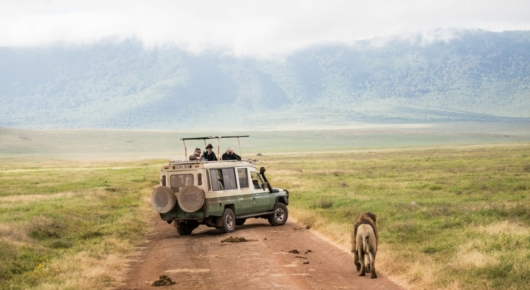 Tanzania and Kenya