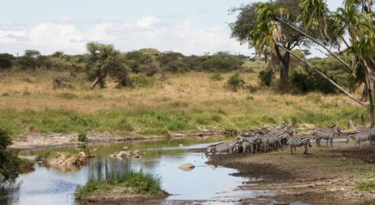 Tanzania and Kenya