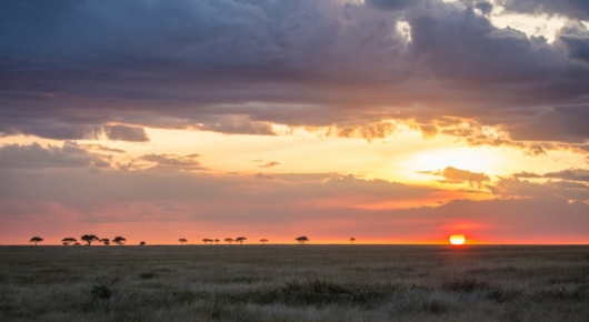 Tanzania and Kenya