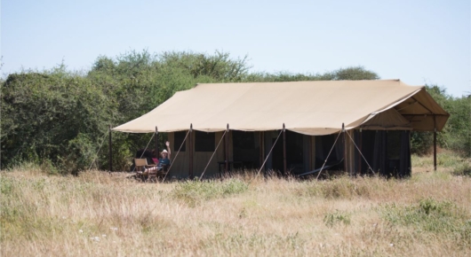Tanzania and Kenya