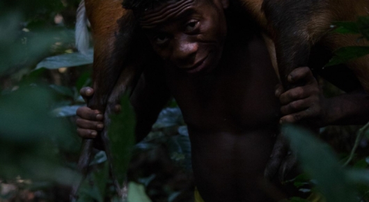 Congo and CAR