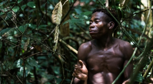 Congo and CAR