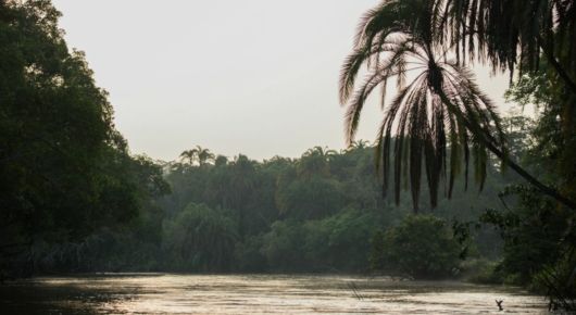 Congo and CAR