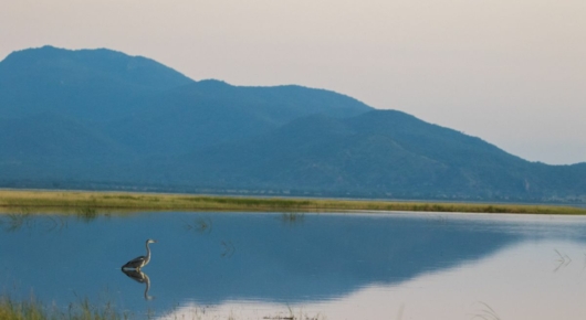 Tanzania and Kenya