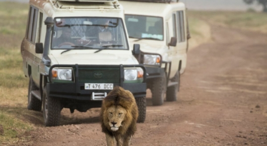Tanzania and Kenya