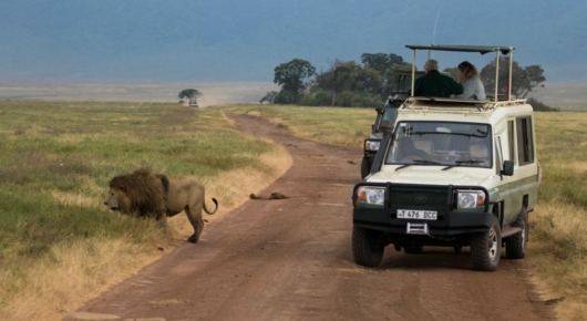 Tanzania and Kenya