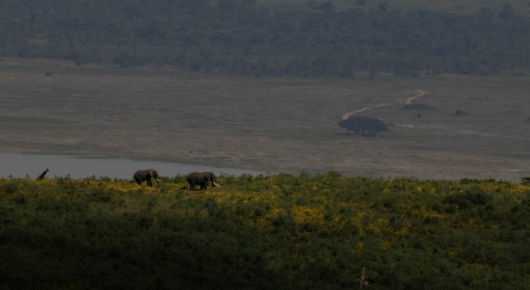 Tanzania and Kenya