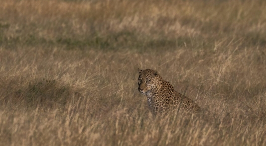 Tanzania and Kenya