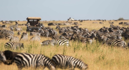Tanzania and Kenya