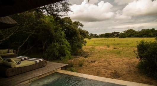 Phinda and Londolozi