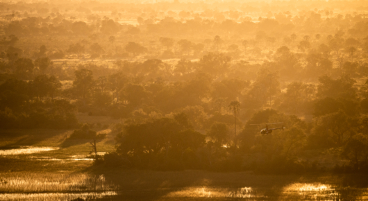 Kweene Trails Okavango Delta Helicopter
