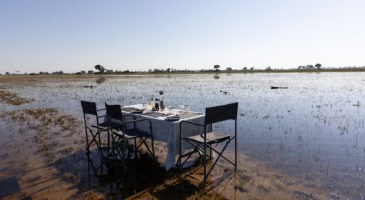 Al fresco like no other - lunch stop IN the Okavango Delta...