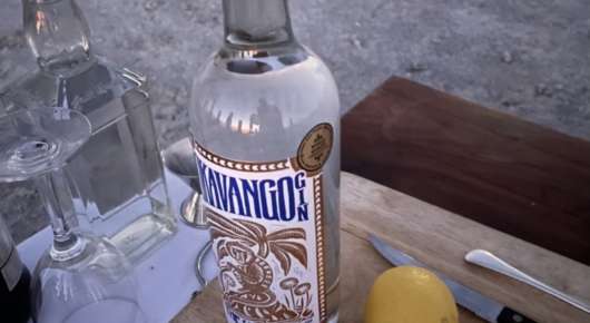 A bottle of Okavnago Gin