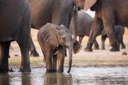 Zimbabwe’s Best Kept Secrets